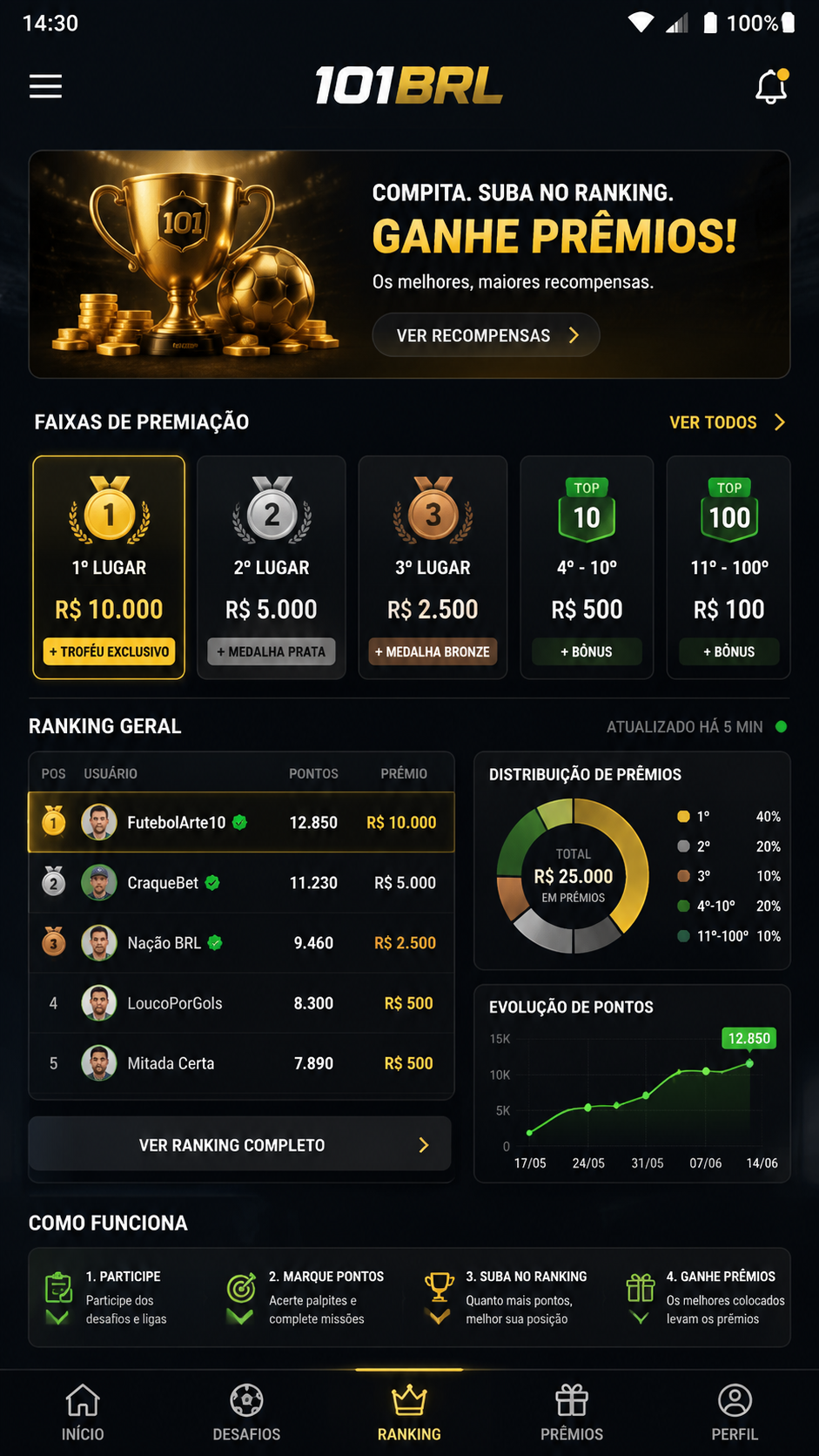 101brl screenshot