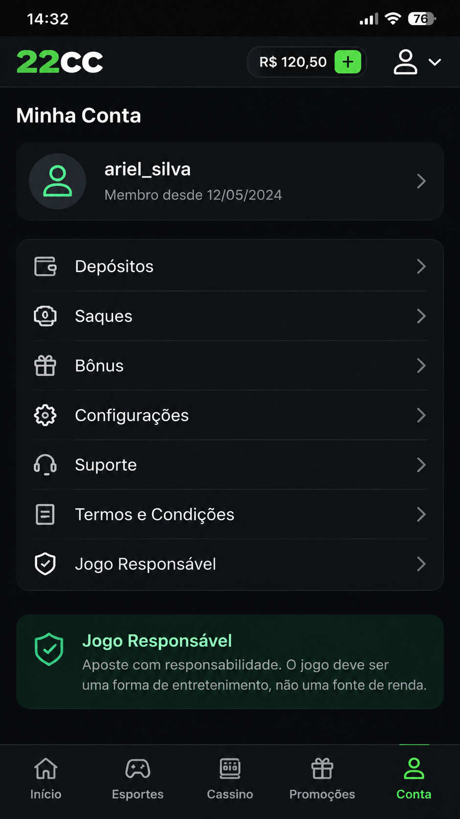 22cc screenshot