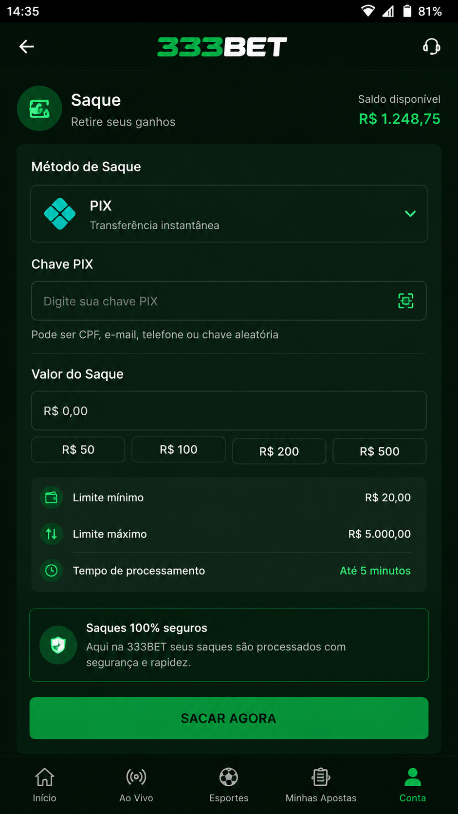 333bet screenshot