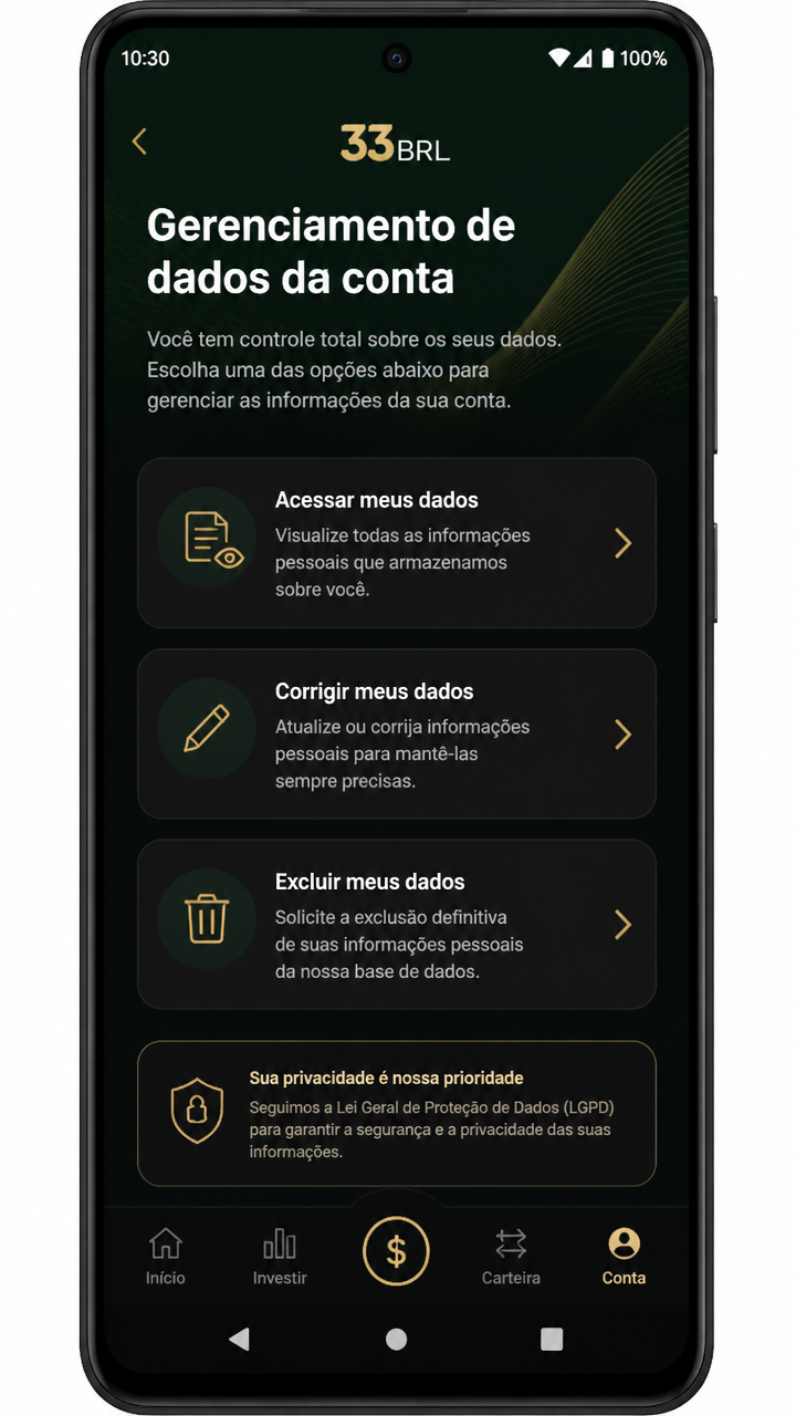 33brl screenshot
