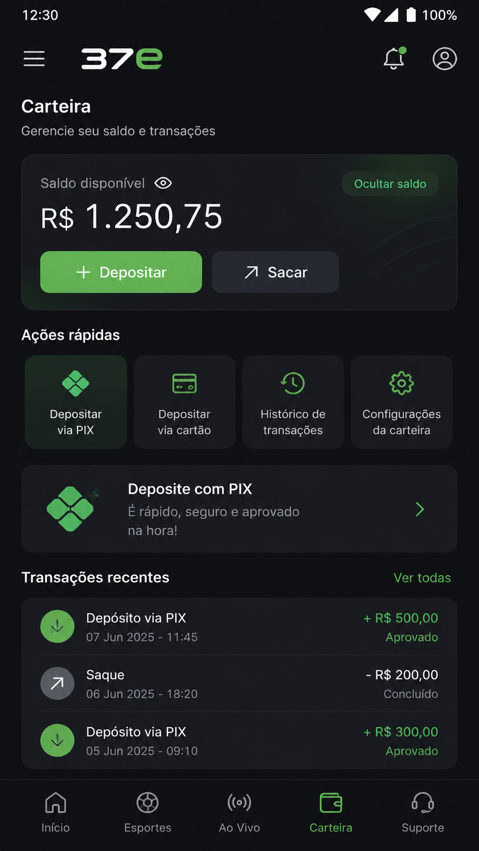 37e screenshot