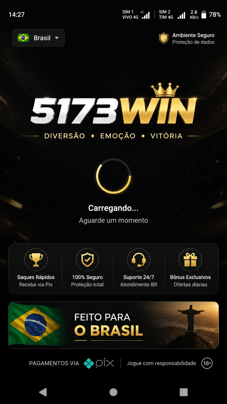 5173win screenshot