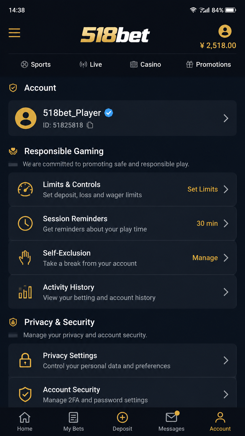 518bet screenshot
