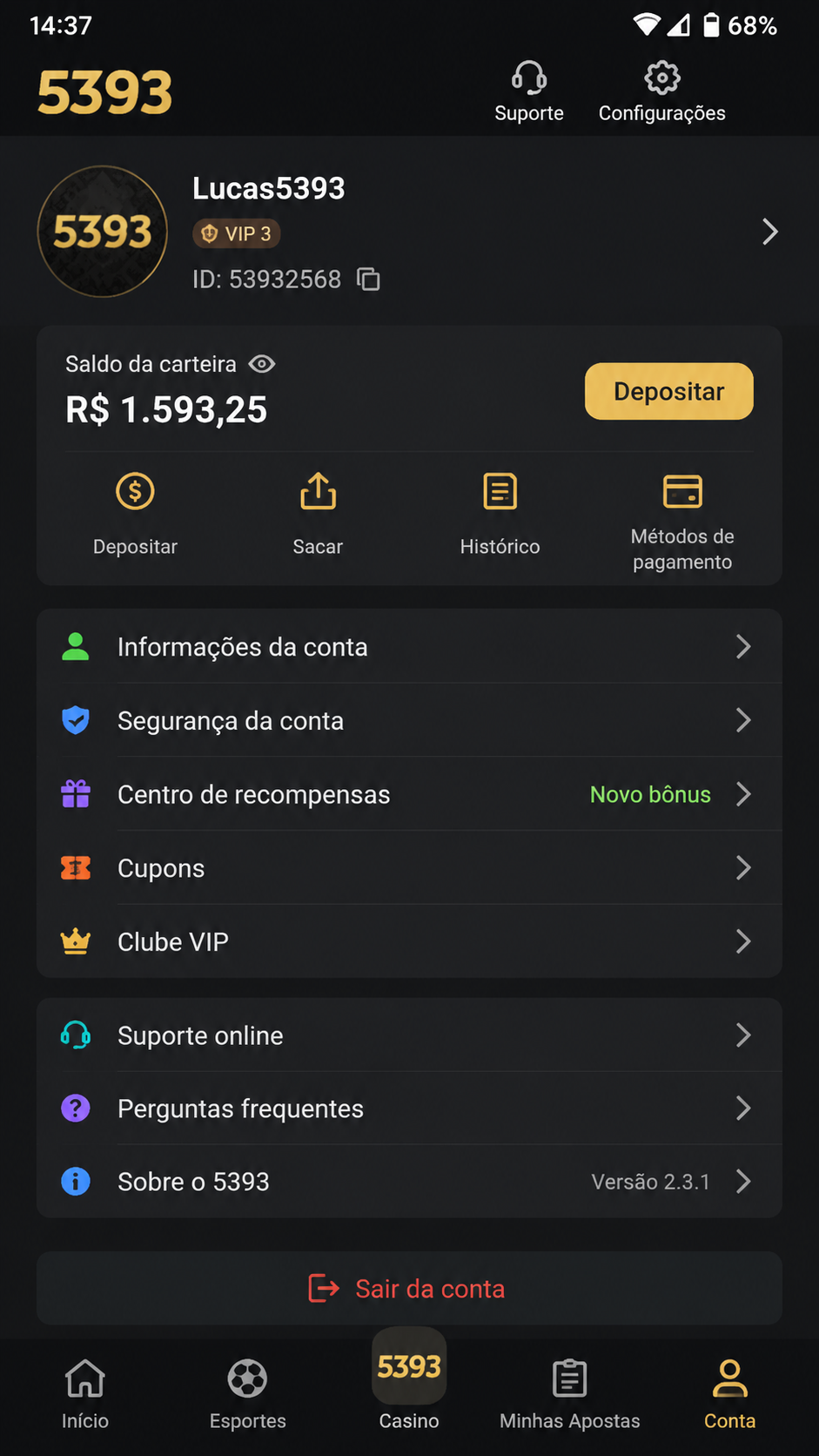 5393 screenshot