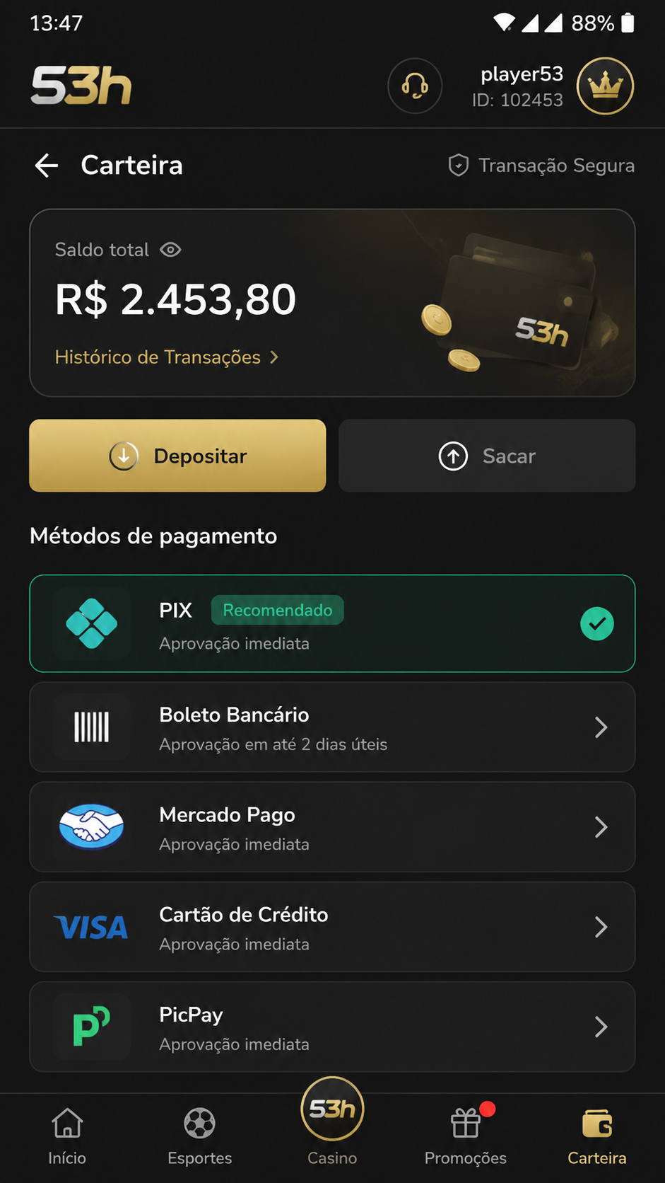 53h screenshot