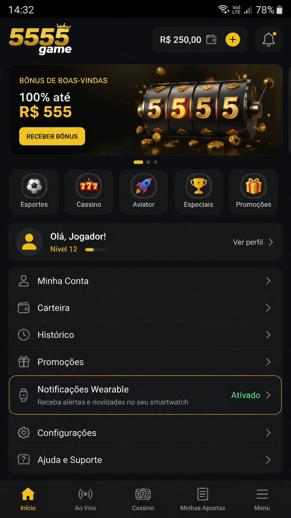 5555game screenshot