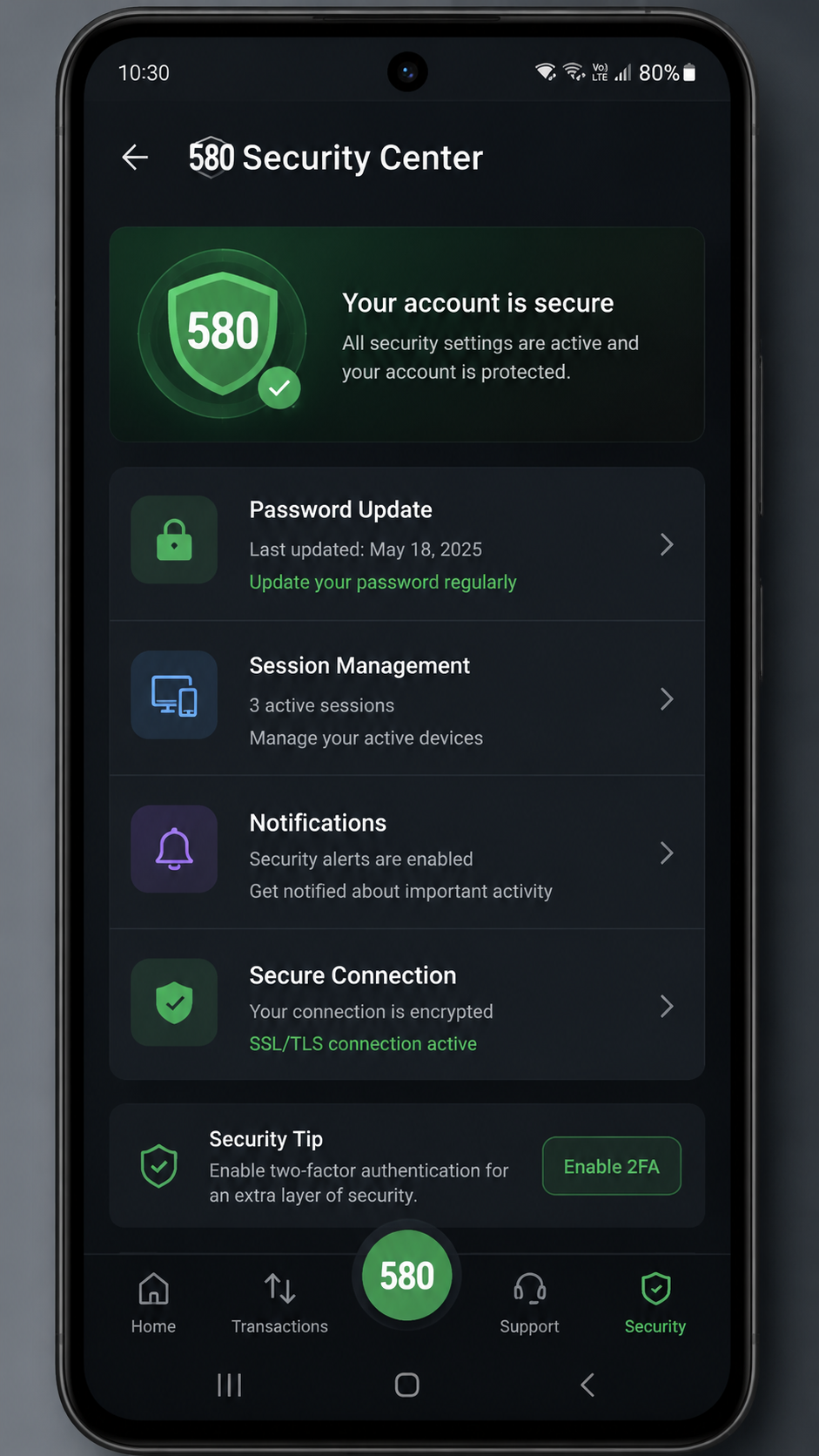 580 screenshot