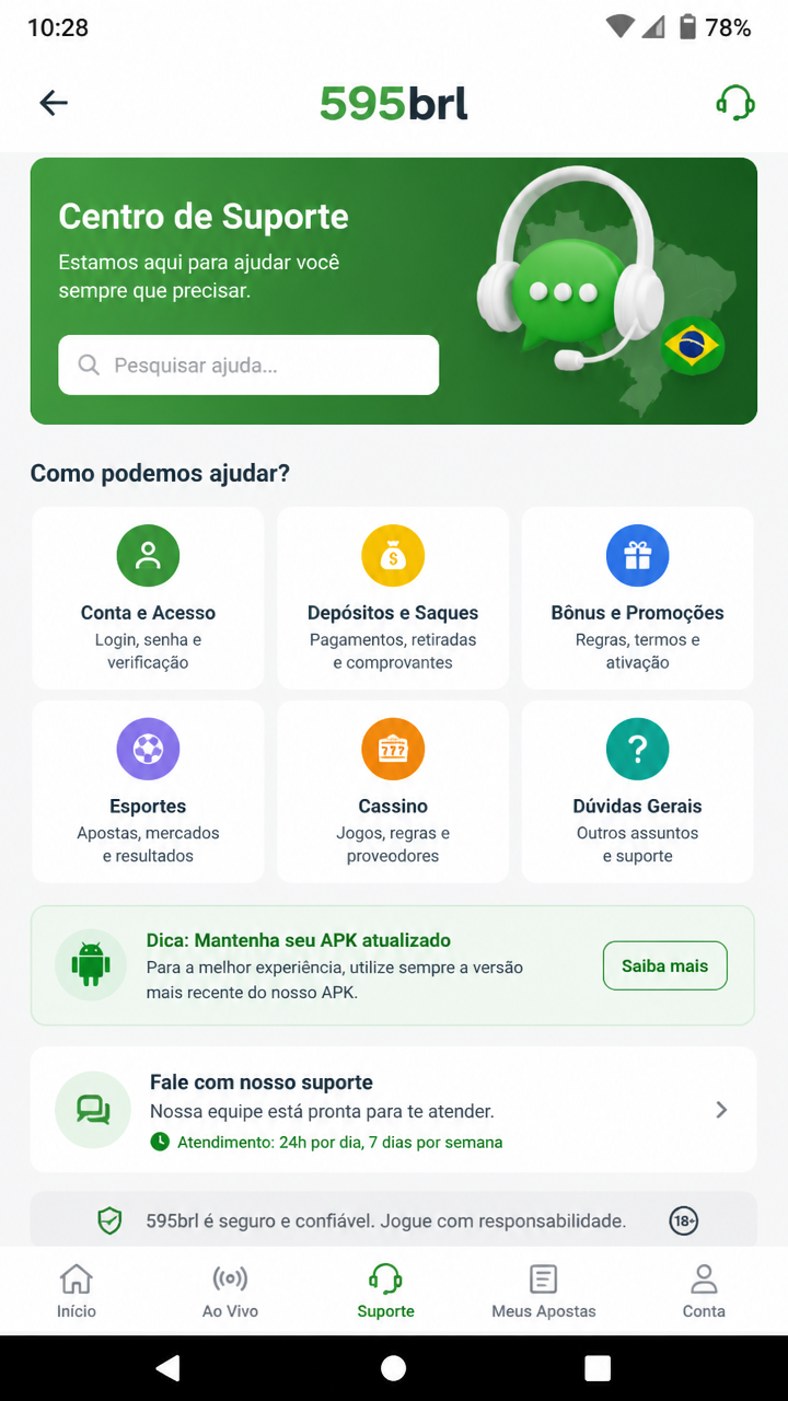 595brl screenshot