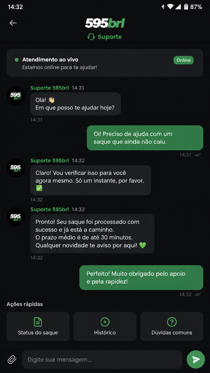 595brl screenshot