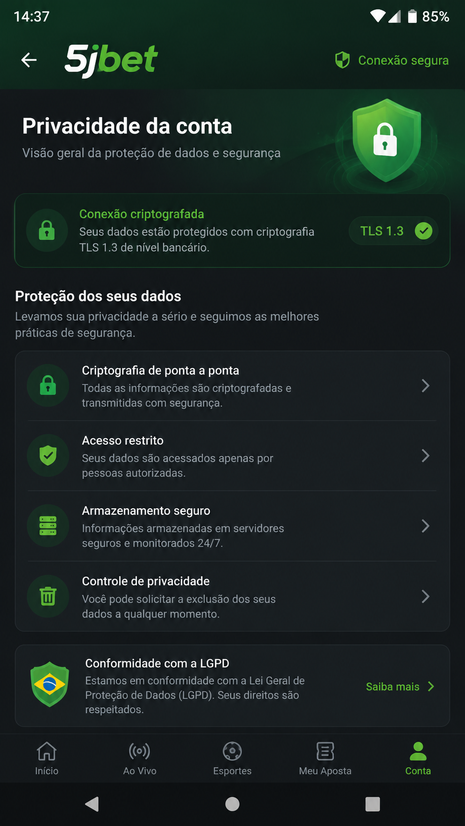 5jbet screenshot