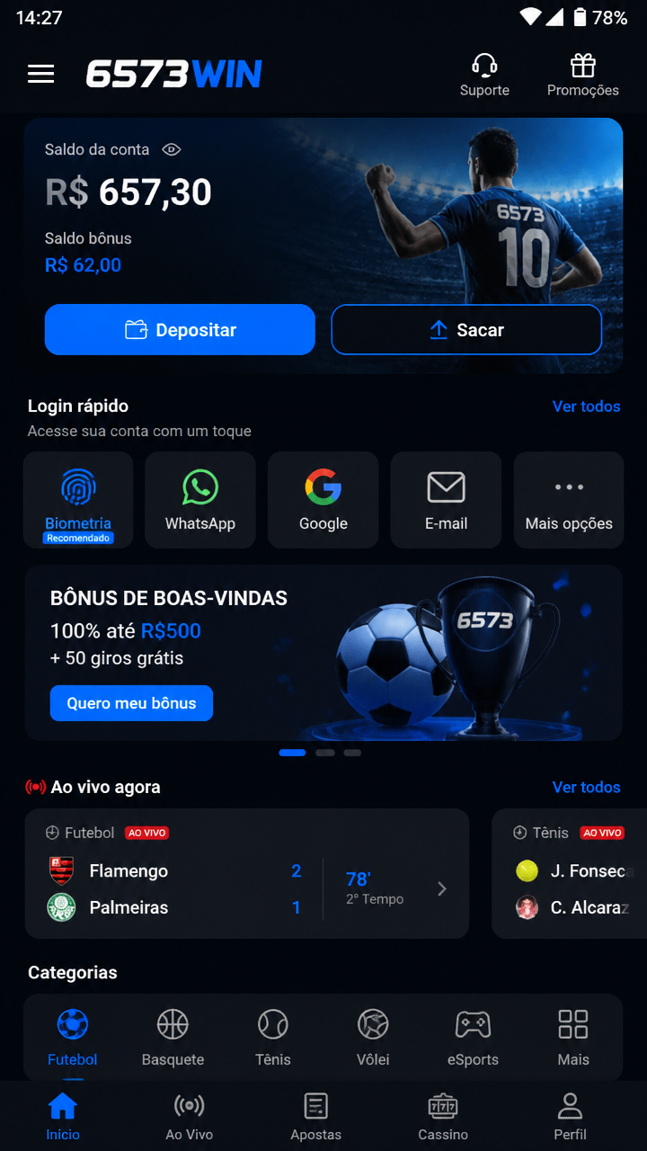 6573win screenshot