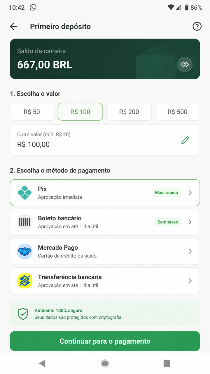 667brl screenshot