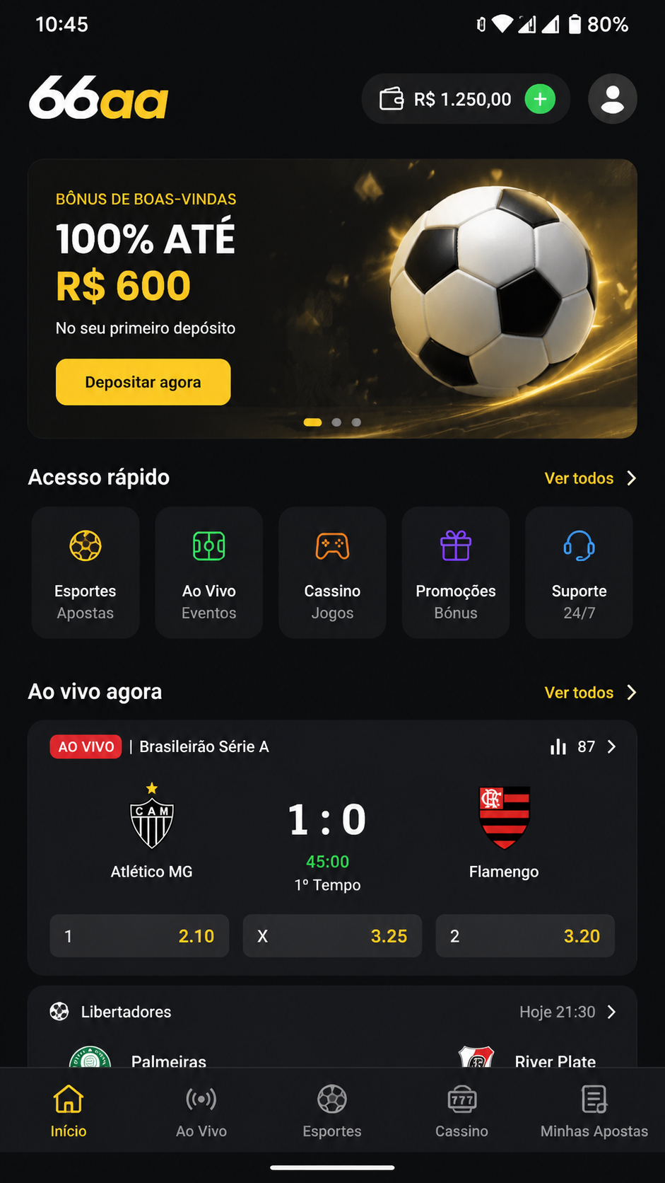 66aa screenshot