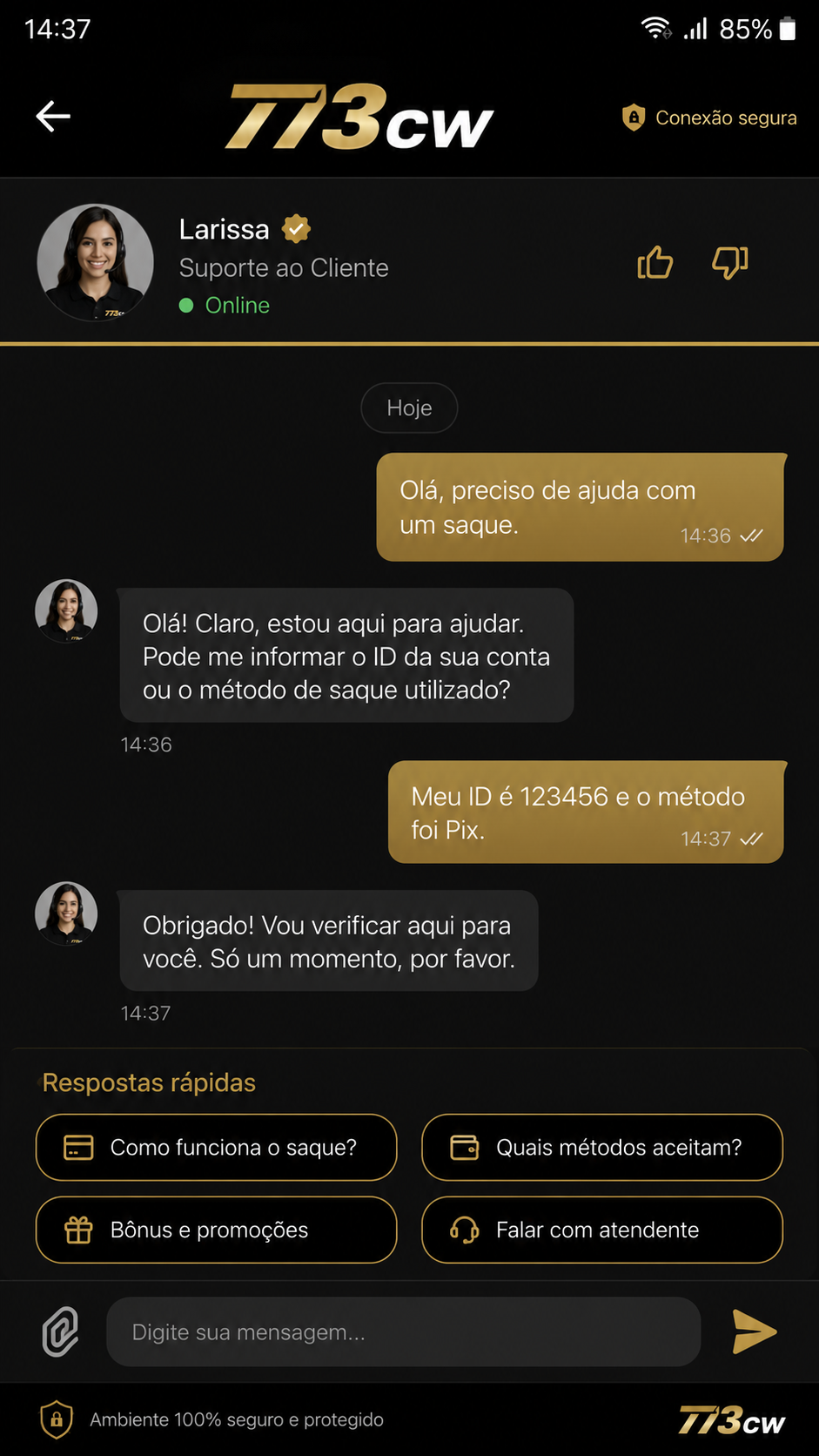773cw screenshot