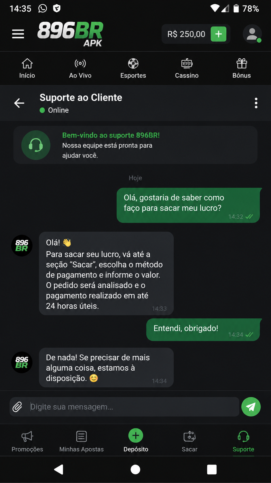 896br screenshot