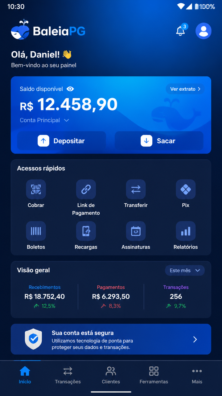 baleiapg screenshot