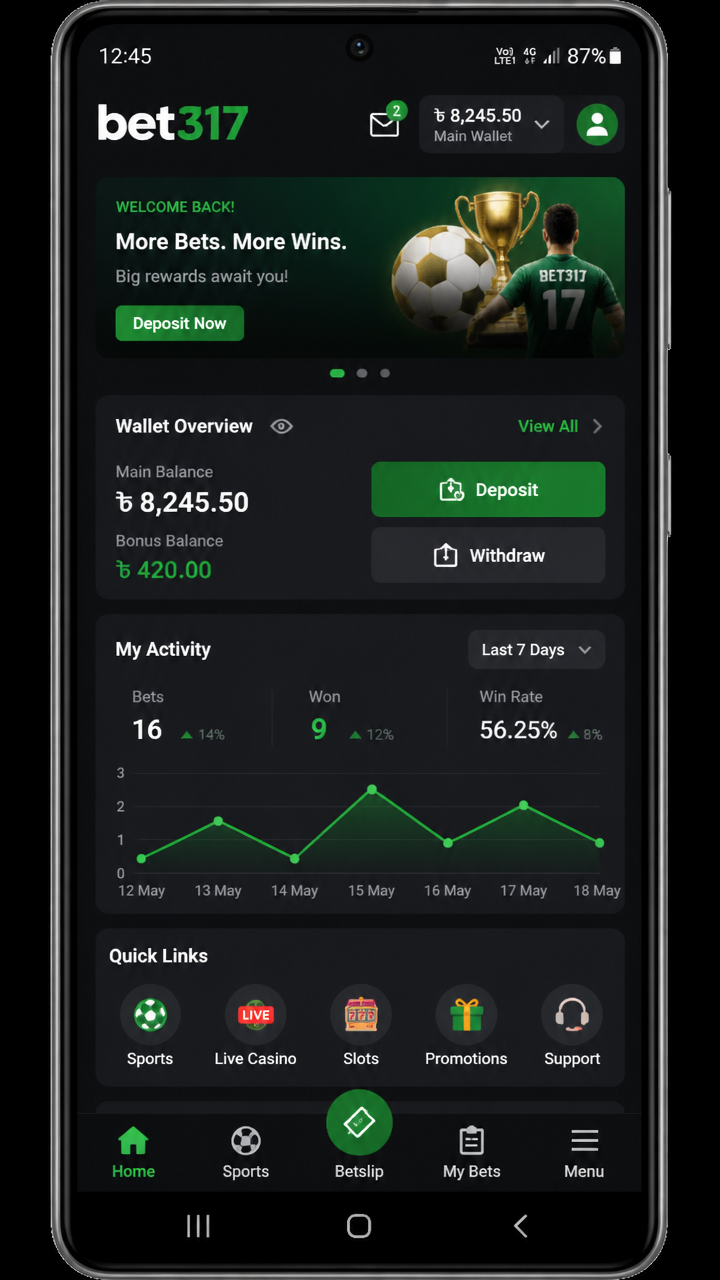 bet317 screenshot