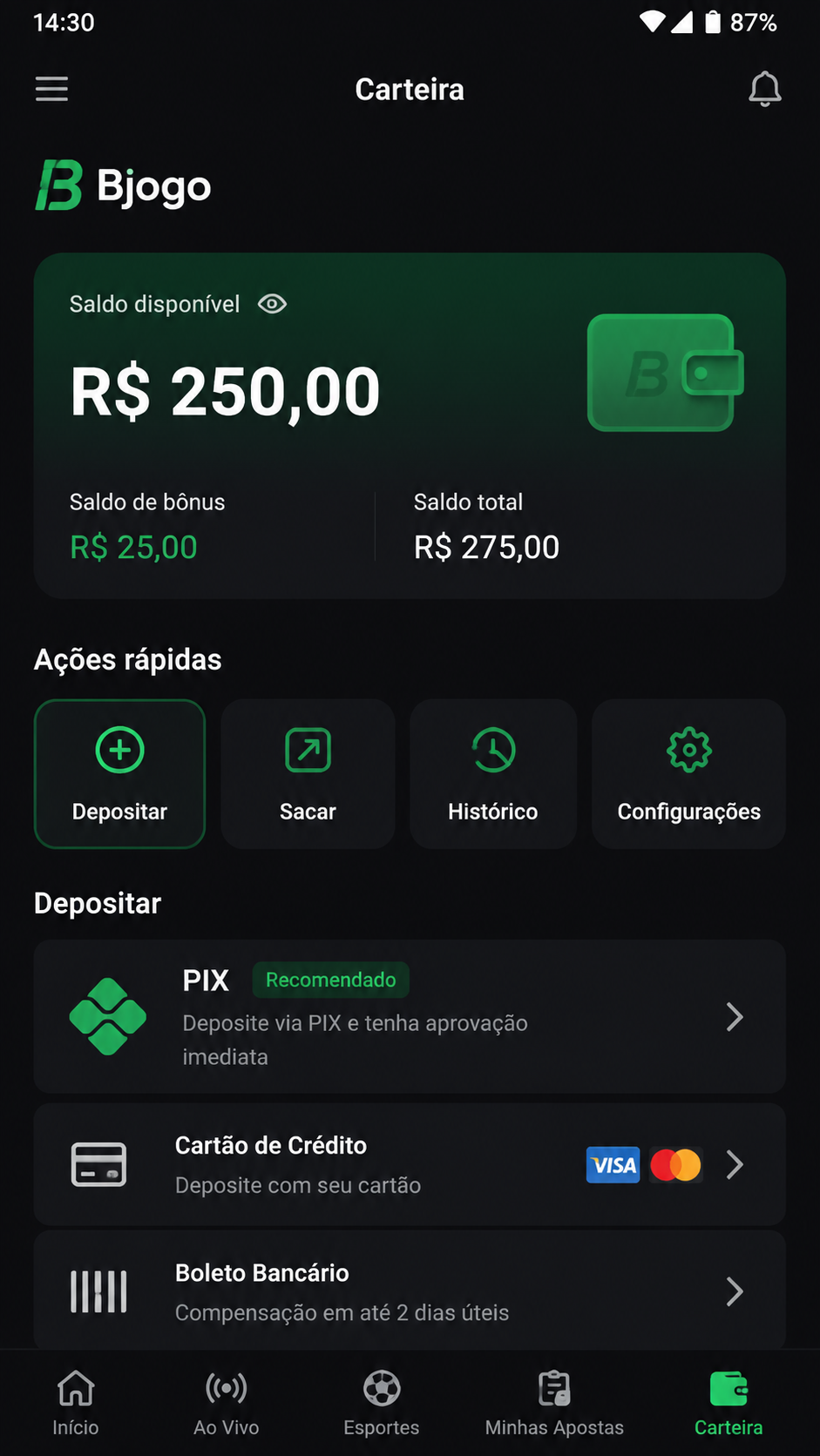Bjogo screenshot