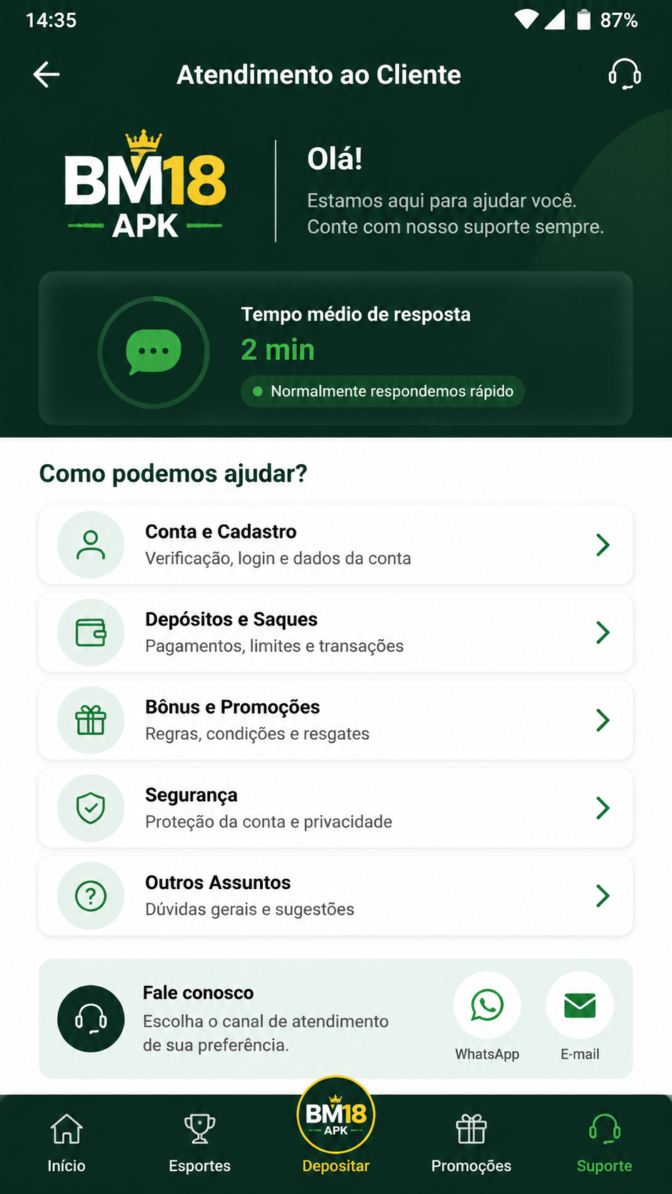 bm18 screenshot