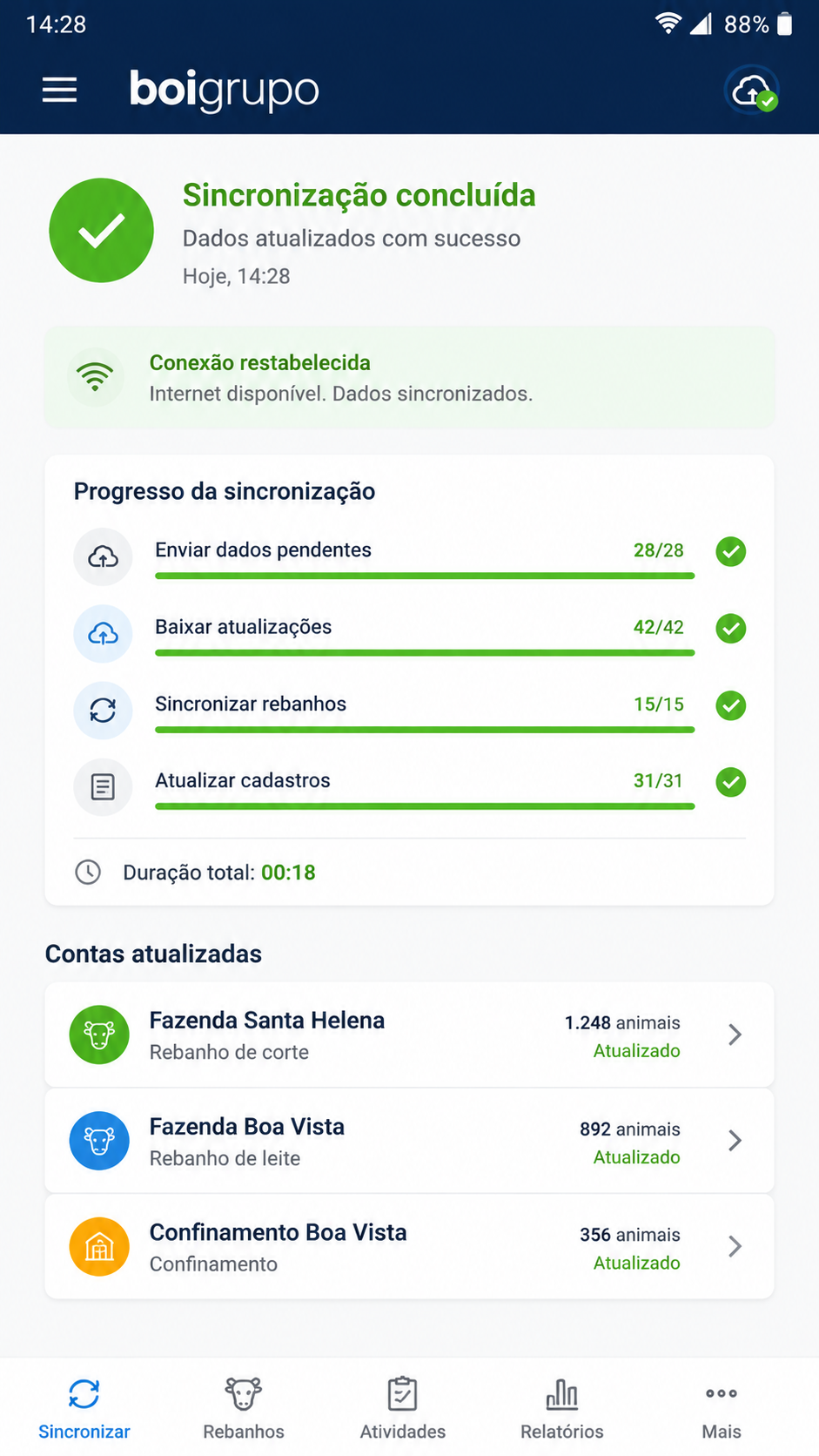 boigrupo screenshot