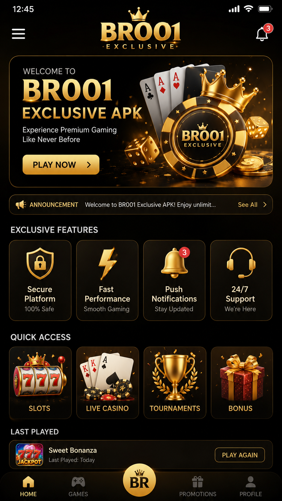br001 screenshot