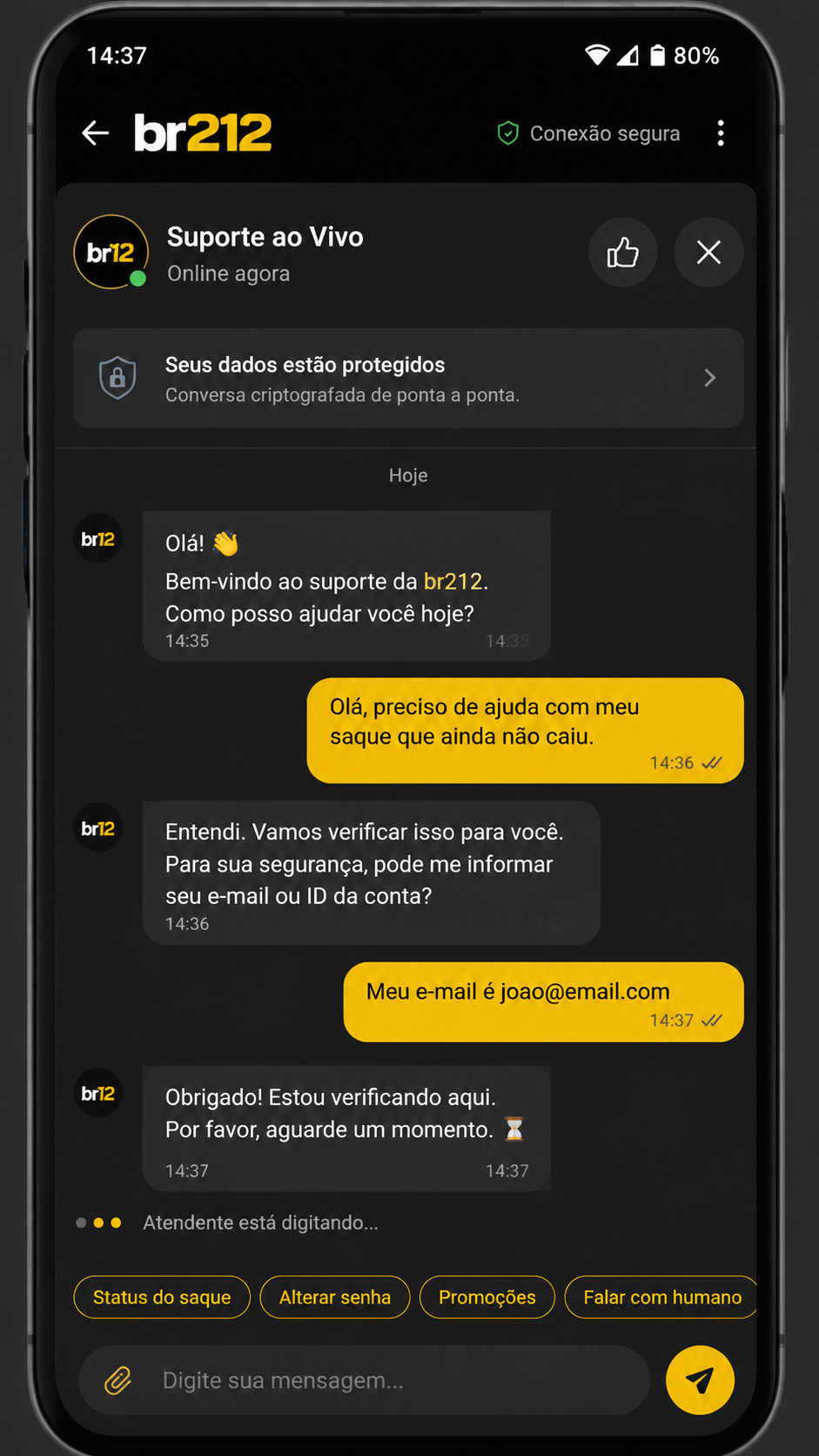 br212 screenshot