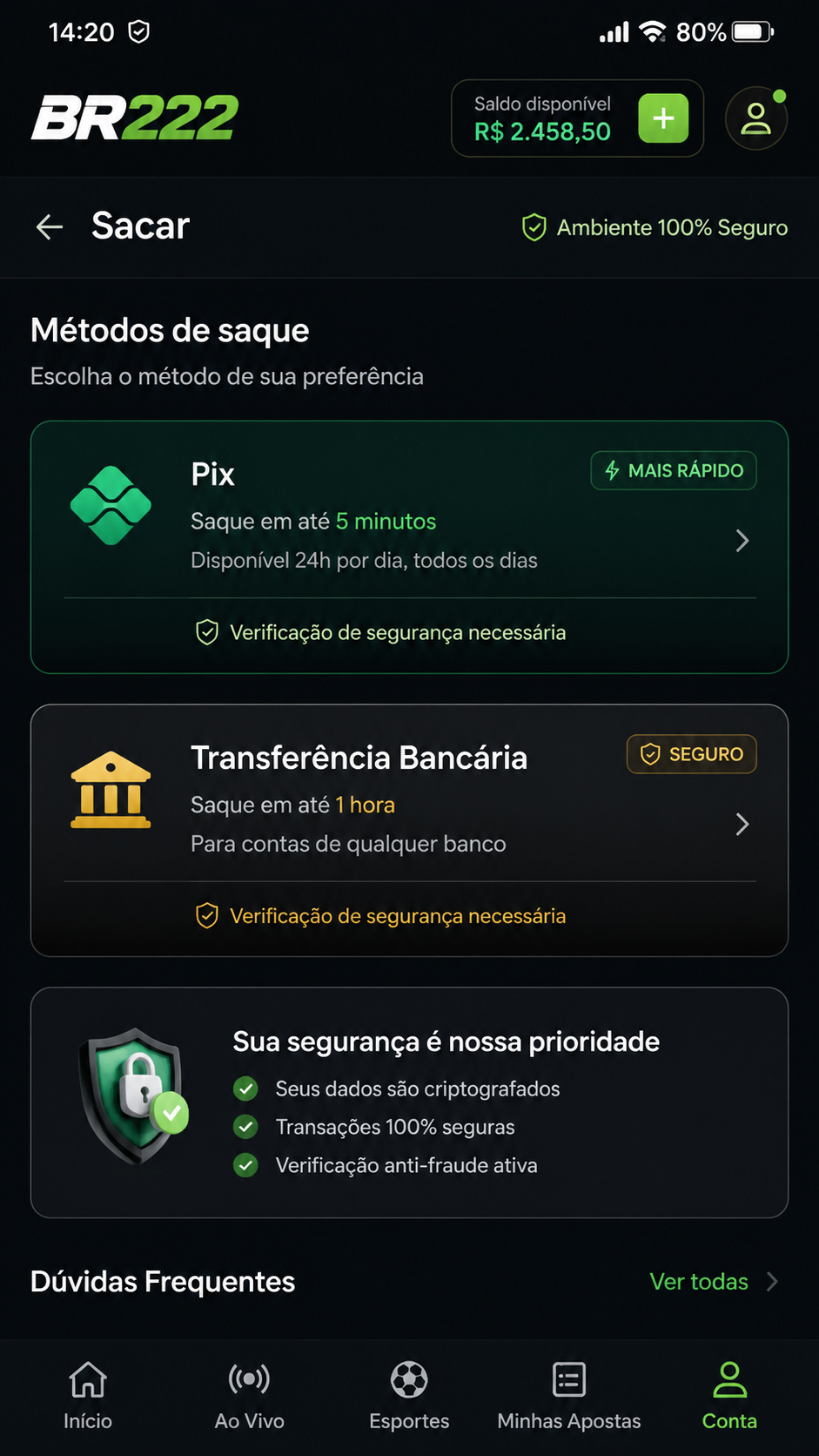 br222 screenshot