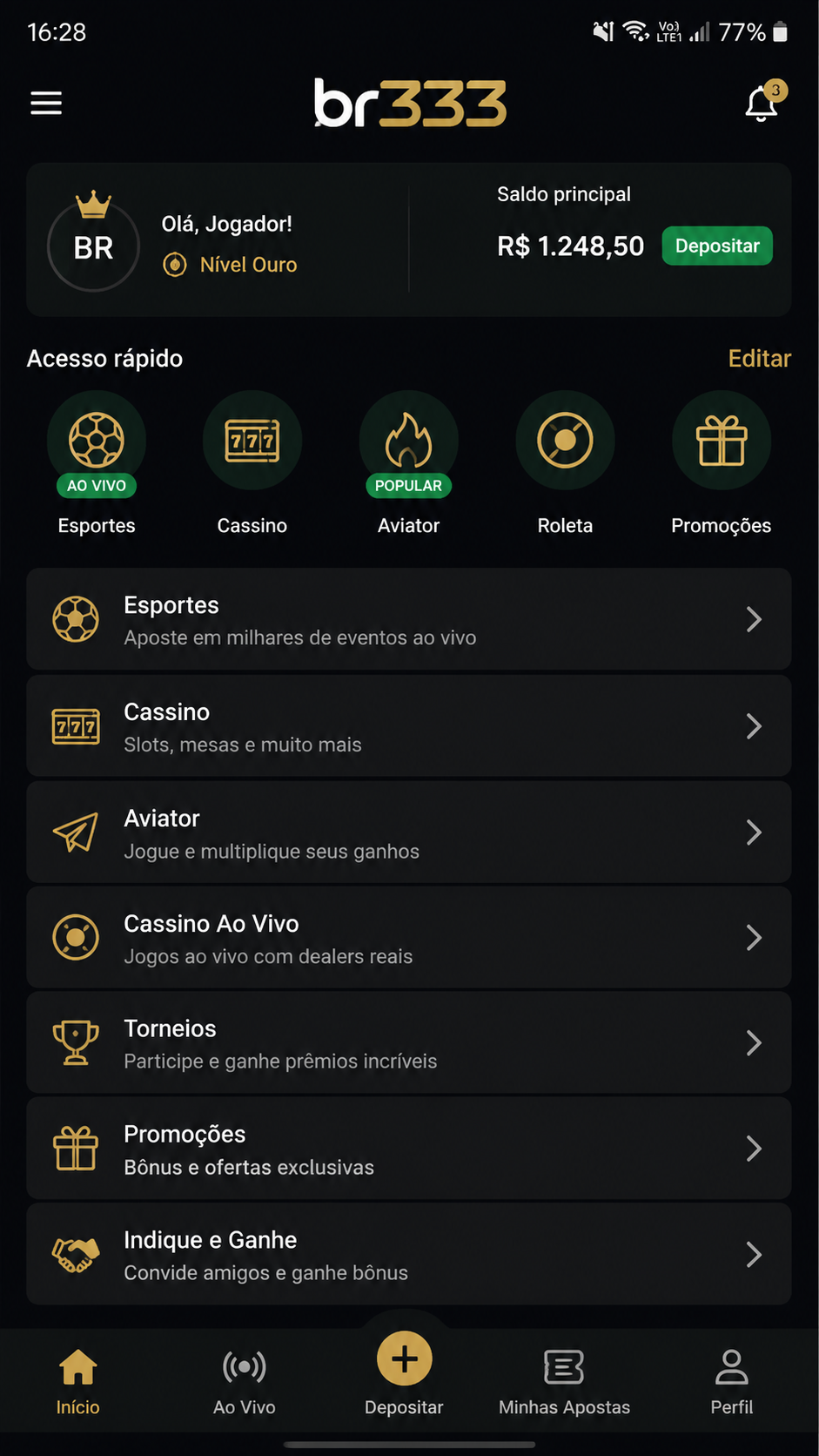 br333 screenshot