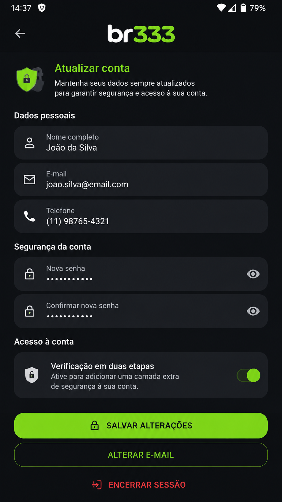br333 screenshot