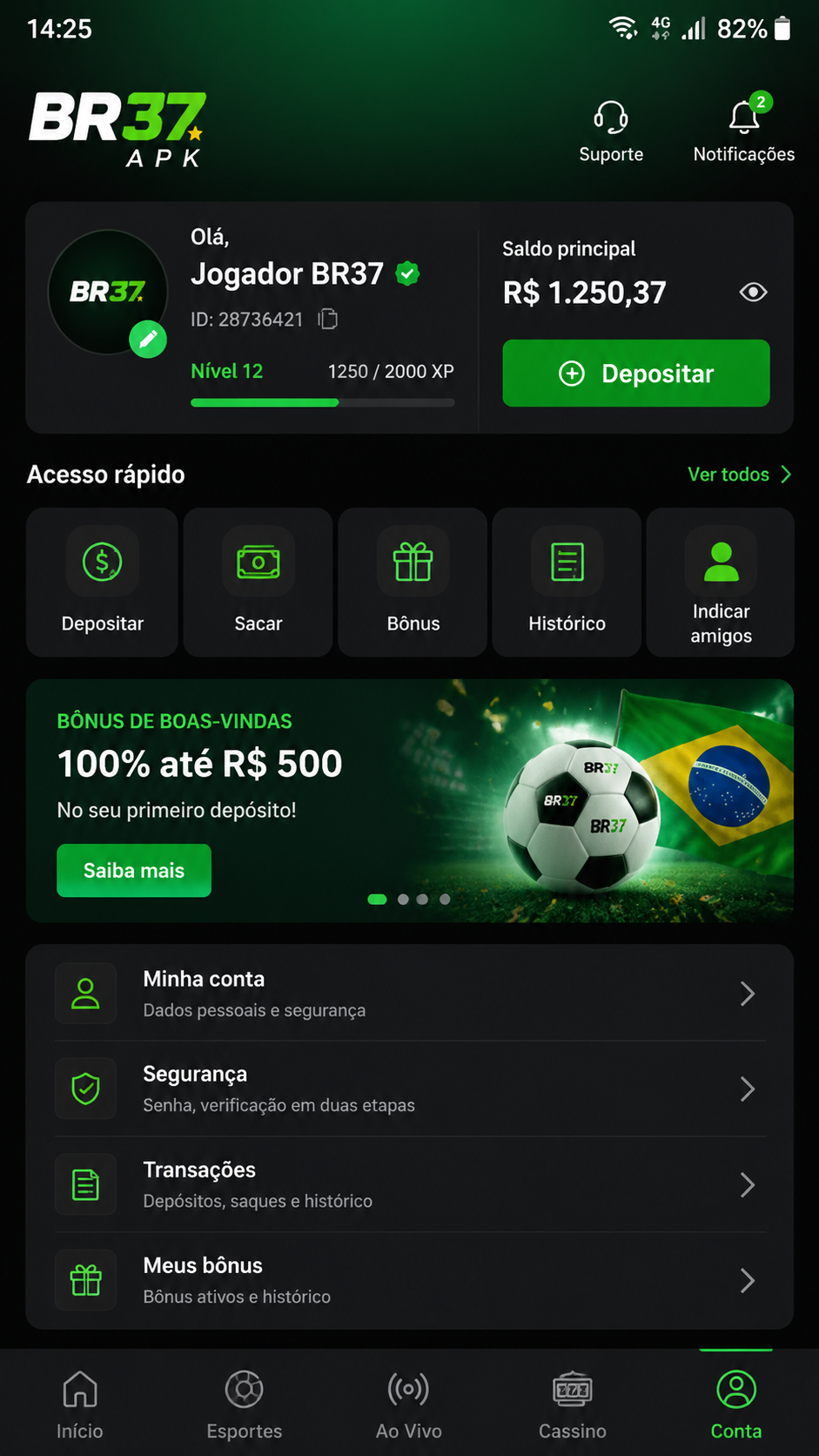 br37 screenshot