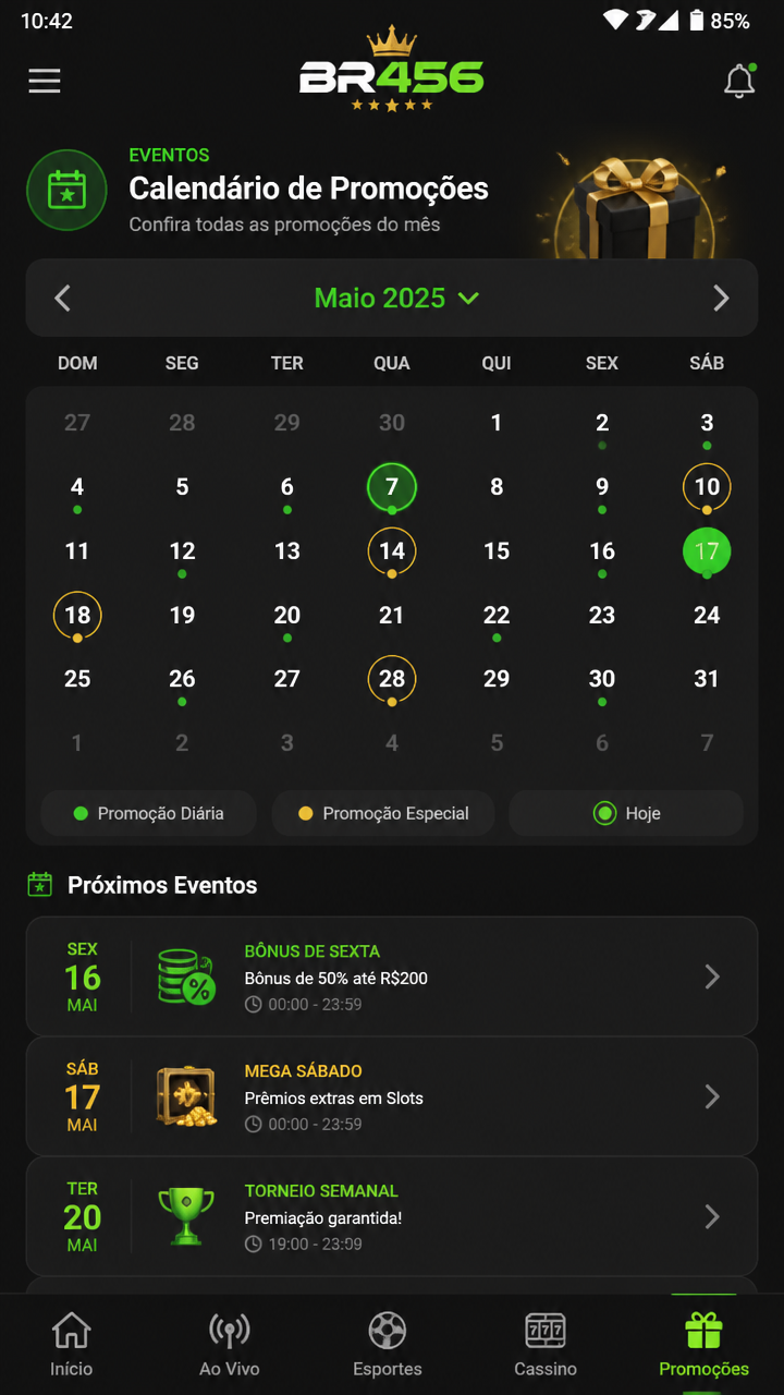 br456 screenshot