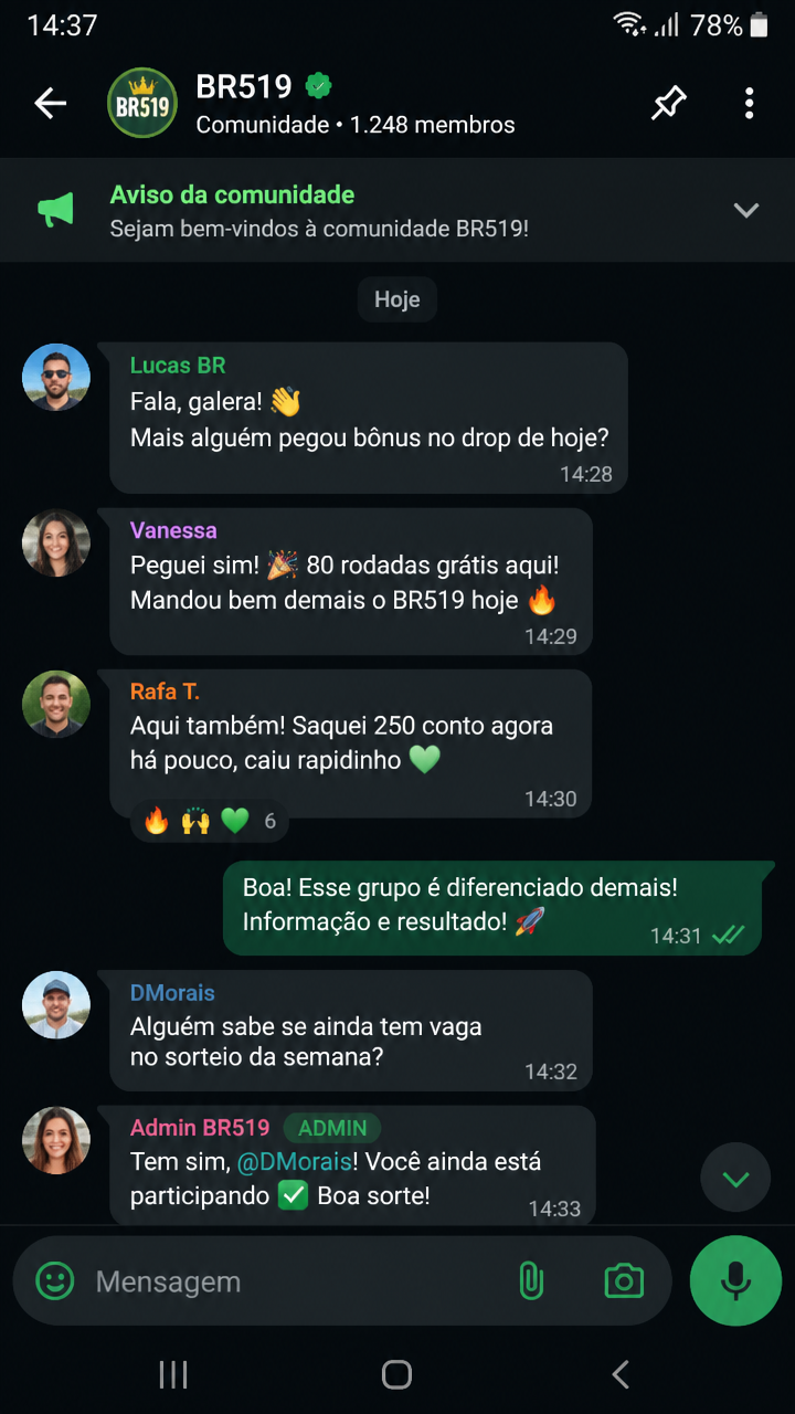 br519 screenshot
