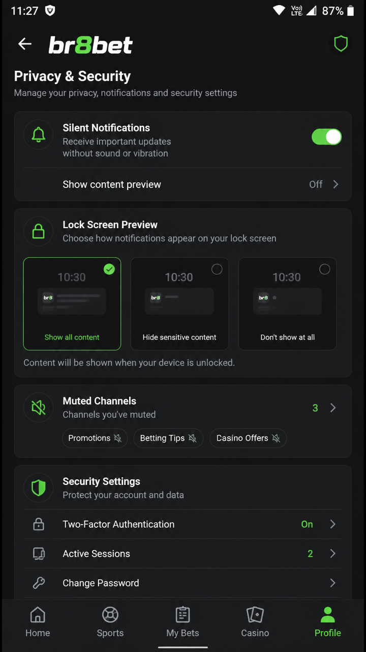 br8bet screenshot