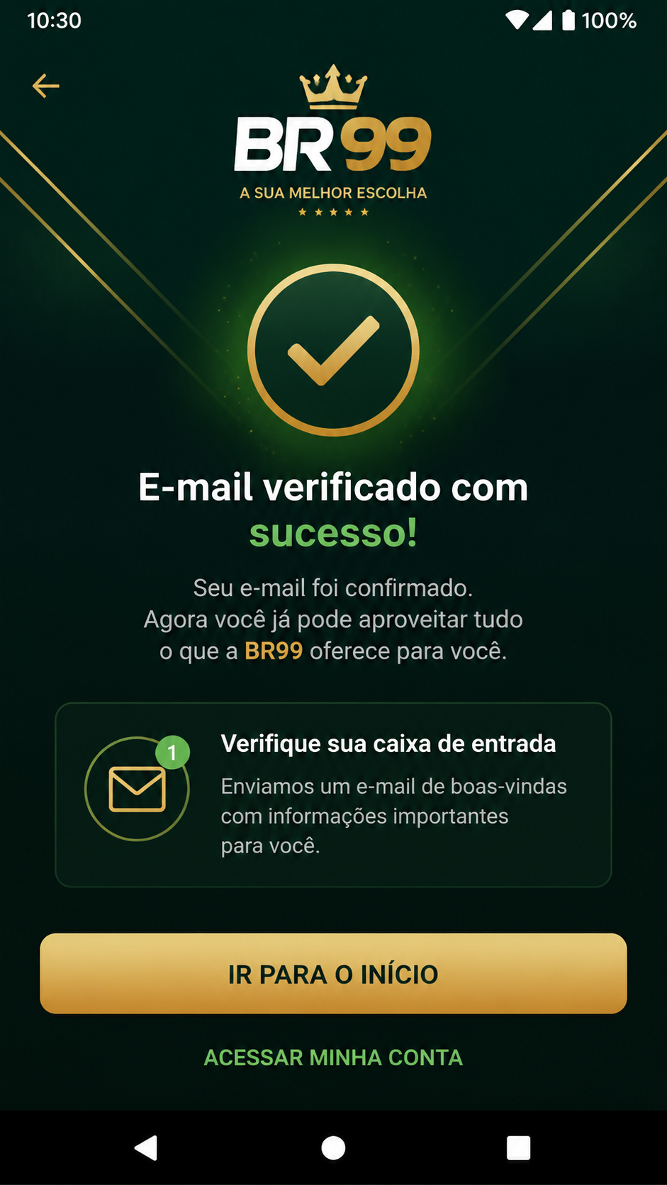 br99 screenshot