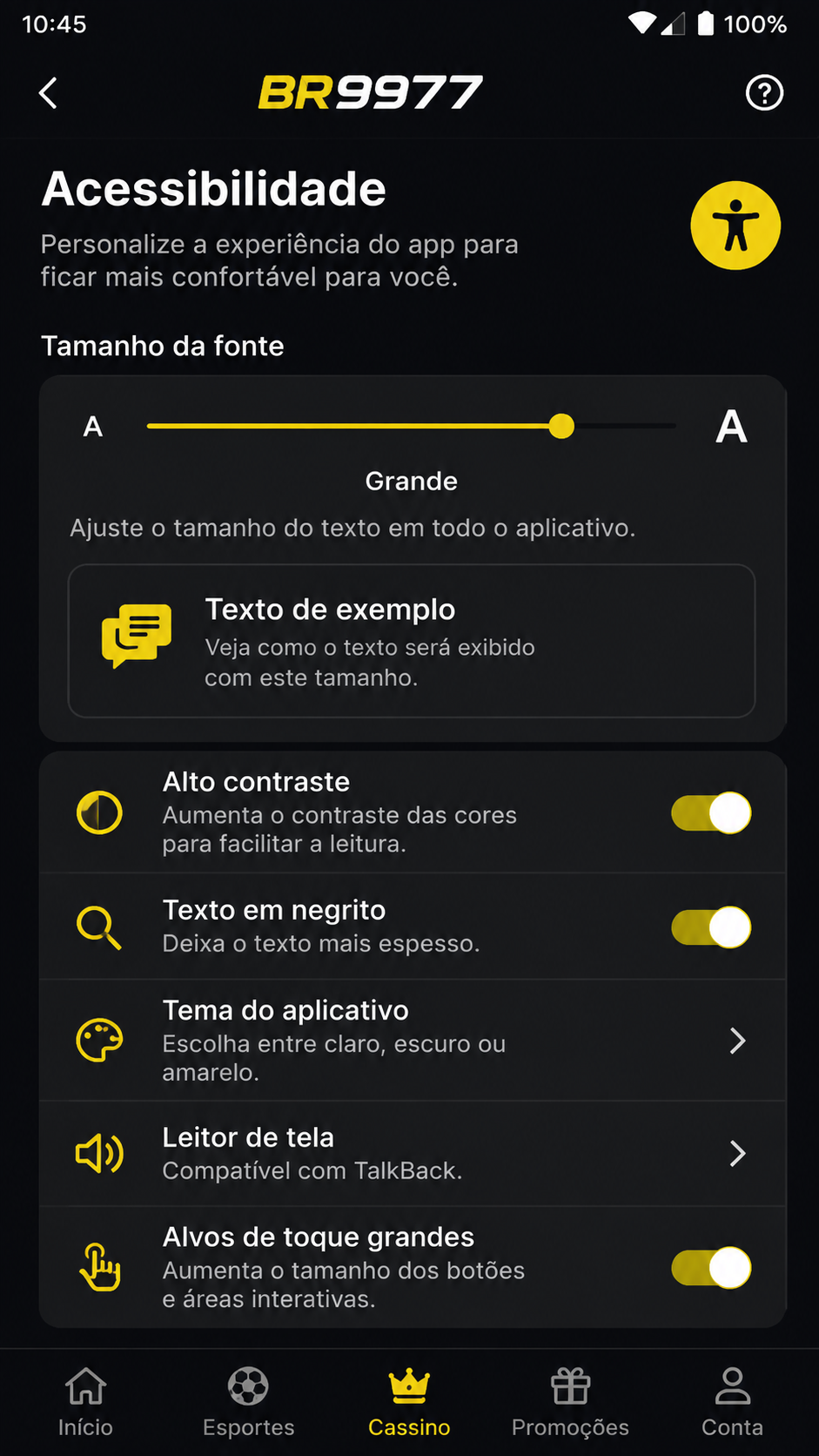 br9977 screenshot