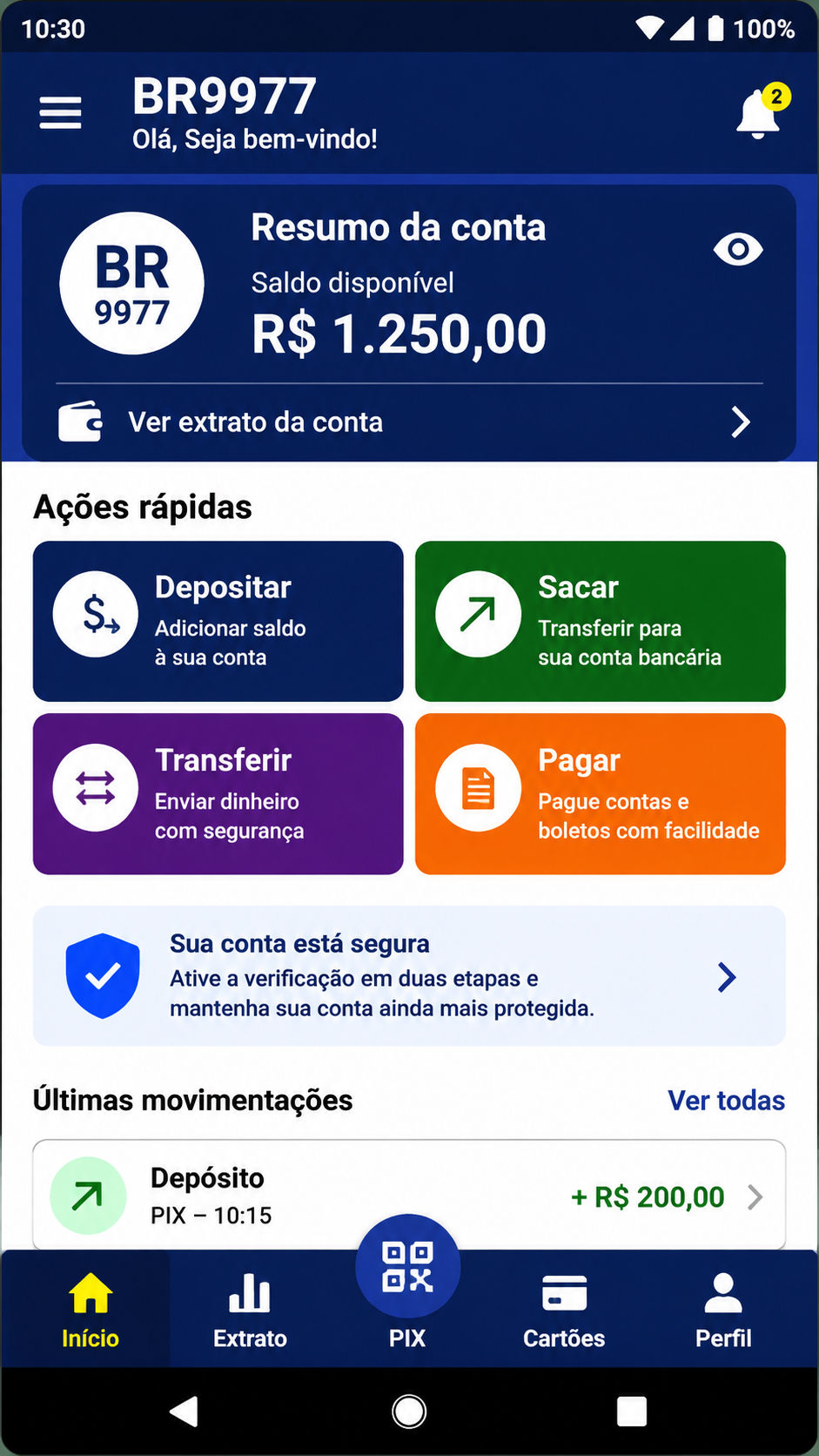 br9977 screenshot