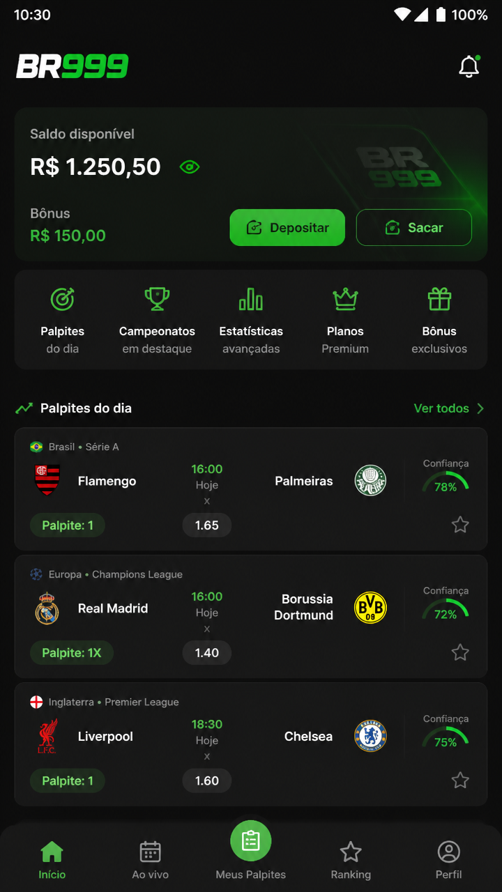 br999 screenshot