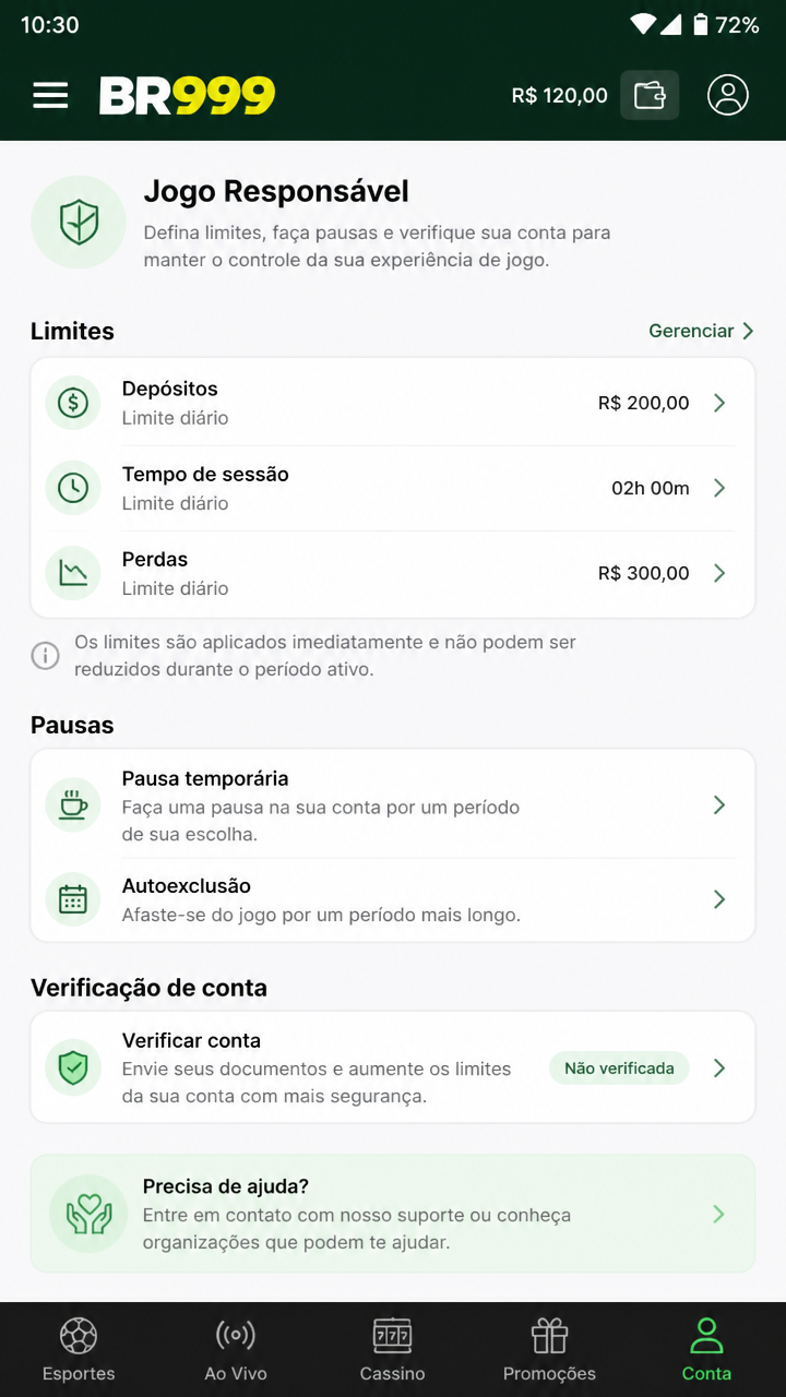 br999 screenshot