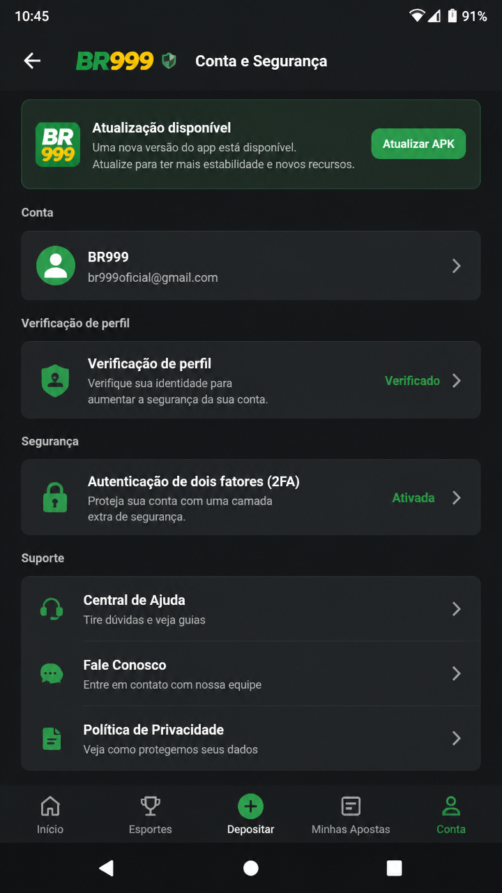 br999 screenshot