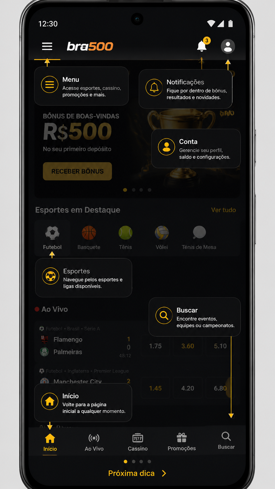 bra500 screenshot