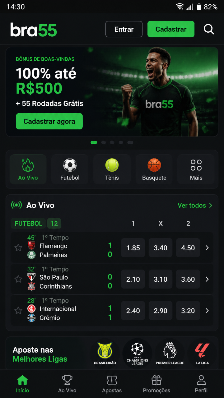 bra55 screenshot
