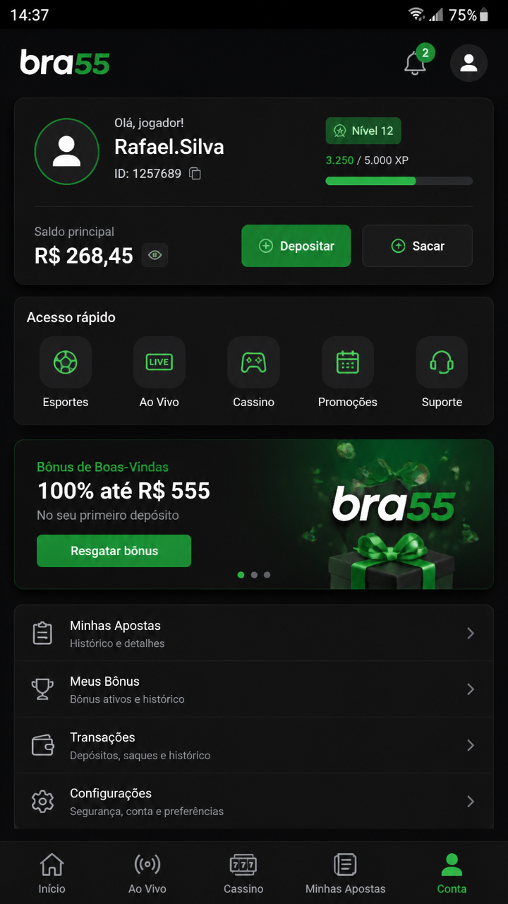 bra55 screenshot