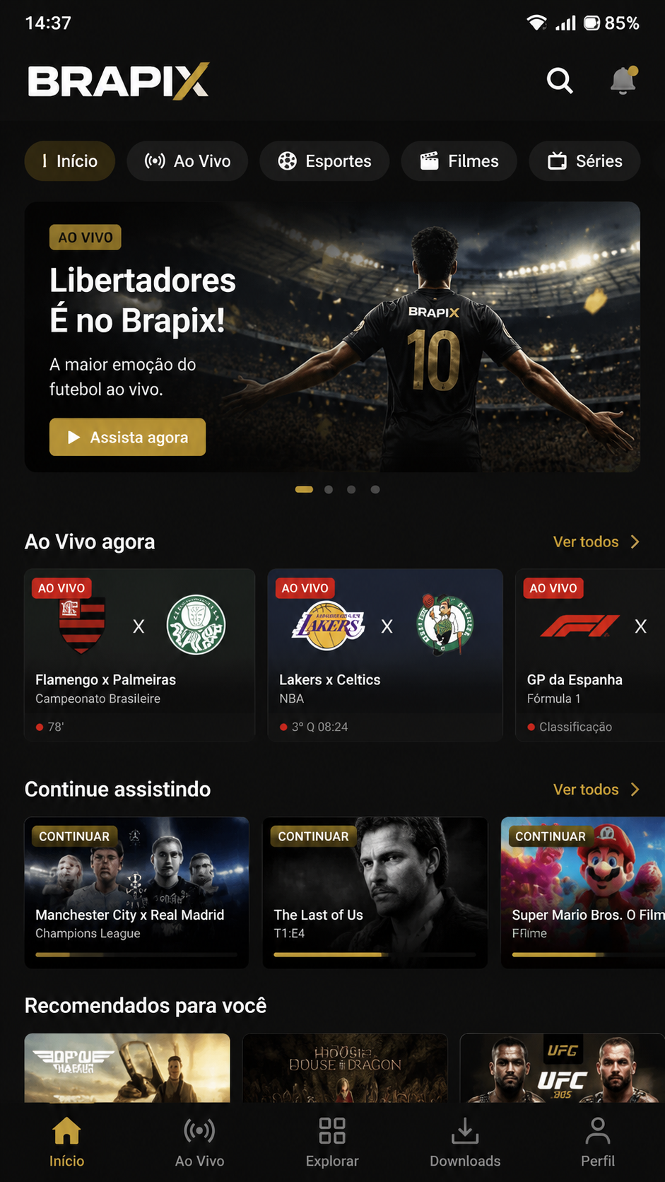 Brapix screenshot