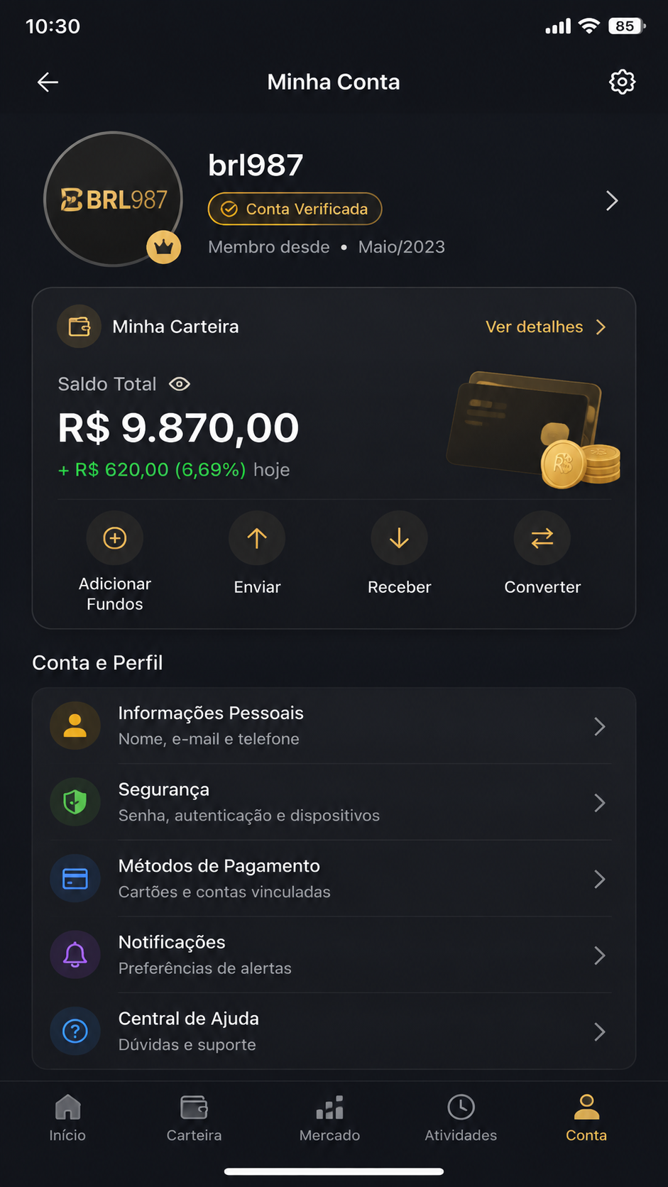 brl987 screenshot
