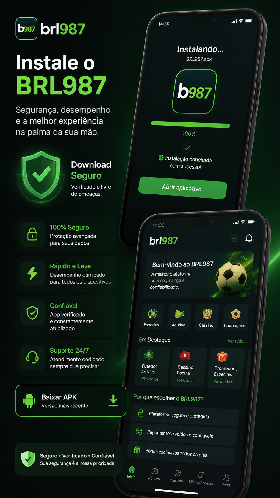 brl987 screenshot