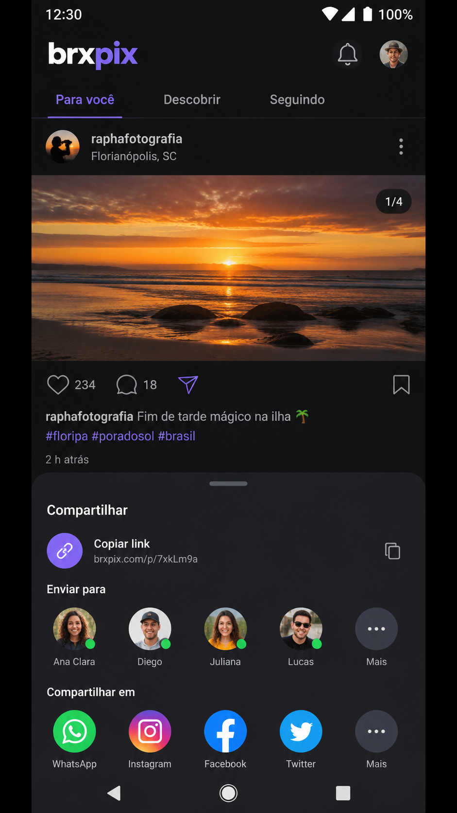 brxpix screenshot
