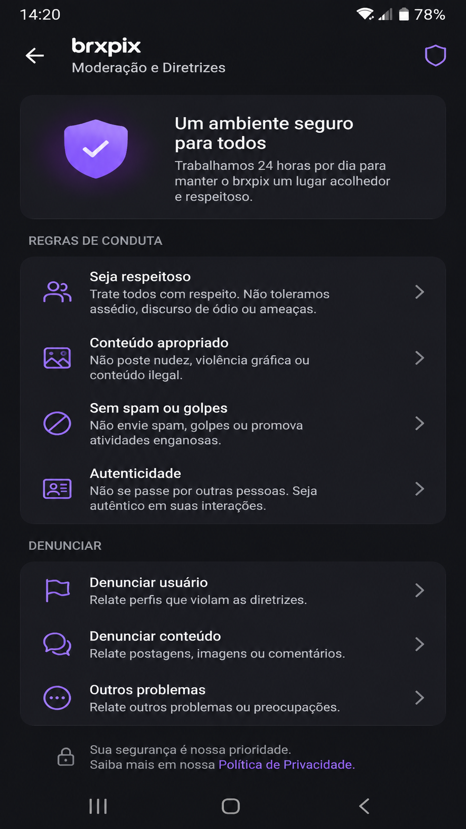 brxpix screenshot
