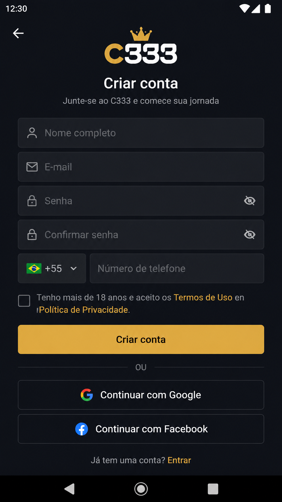 c333 screenshot
