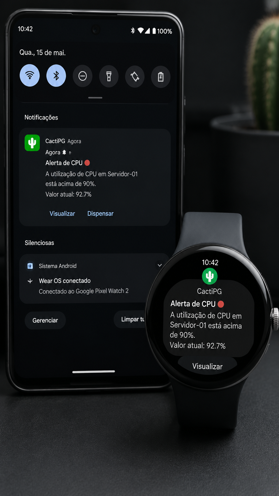 cactipg screenshot