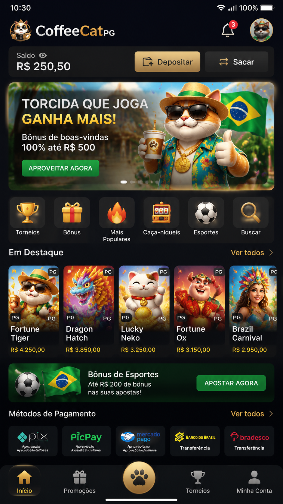 CoffeeCatPG screenshot